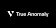 True Anomaly. Inc. logo