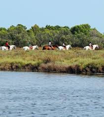 Poney Western Sejours En France Ucpa