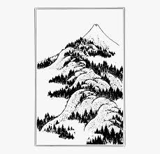 Pine Family Plant Flora Mount Fuji Line Art Hd Png Download Kindpng
