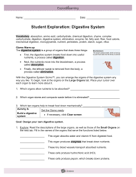 · get the gizmo ready : Student Exploration Digestive System
