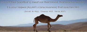 I thought we could only perform qurbani until the 3rd day of eid ul azha. Eid Al Adha In Times Of Covid 19 Lookstylo Events
