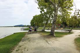 Check spelling or type a new query. Balatonfenyves Nagystrand Balaton Strand Strand Hu