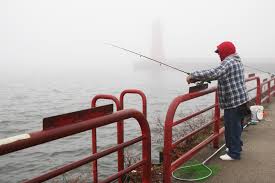 We did not find results for: Dnr Shares Details On 2020 2022 Lake Michigan Fish Stocking Plan Wisconsin Public Radio