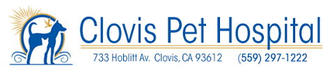 When it comes to your pet's care, you. Home Veterinarian In Clovis Ca Clovis Pet Hospital Clovis Pet Hospital Veterinarian In Clovis Ca Us