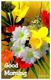 Check spelling or type a new query. Nature Good Morning Images Beautiful Flowers Novocom Top