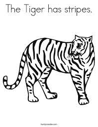 Oddly ligers are much larger than both tigers and lions, young liger with his full grown tiger mother. The Tiger Has Stripes Coloring Page Twisty Noodle