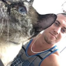 PETSADENA ANIMAL HOSPITAL