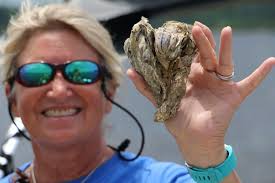 Lunchtime Discovery: New River Estuary Oyster Highway Programs and Events  Calendar