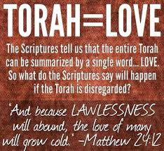 These are people who despise and defy the law. Pin On Judaism