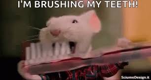 Brushing Teeth Meme Gifs Tenor
