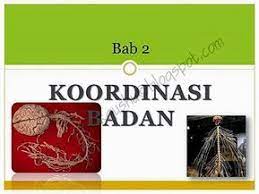Sains bab 4 tingkatan 2. Pin By 60108213714 On Sains 4 1 Bab Novelty Sign Playing Cards
