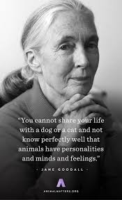 Jane Goodall Animal Rights Quote You Cannot Share Your Life With A Dog Or A Cat And Not K Inspirational Animal Quotes Animal Rights Quotes Jane Goodall Quotes