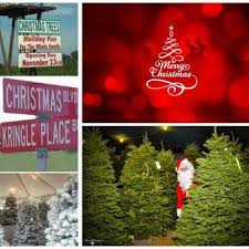 See all things to do. Kay Kringles Christmas Trees Christmas Trees 8805 N Hwy 41 Fresno Ca Phone Number Yelp