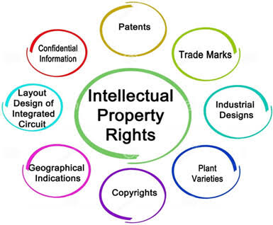 Strengthening intellectual property rights for sustainable development:  Insights Into economic performance and technological advancement - Su Wang,  2025