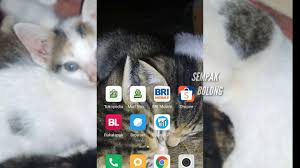 Jika foto sudah diupload, selanjutnya klik mulai verifikasi wajah. 20jt Minggu Cara Dropship From Shopee To Shopee Youtube