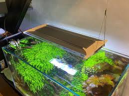 Qmaven2 Zetlight Led Light For Planted Aquarium Lights Pet Supplies For Fish Fish Tank Accessories On Carousell