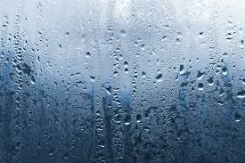 Bedenken sie, dass sich bei hoher luftfeuchte kondenswasser bilden kann. Luftfeuchte Und Deren Einfluss Auf Ihre Gesundheit Haushaltsapparate Net