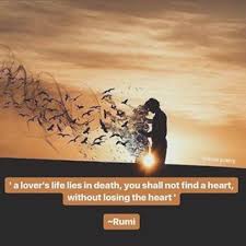 Lola Rumii Poetry Instagram Foto S En Video S Rumi Rumi Quotes Instagram