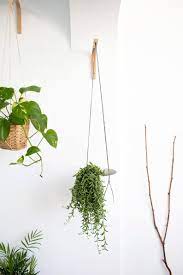 Two Wall Hooks For Hanging Plants Wall Plant Hanger Hanging Plant Holder Wooden Plant Hanger Stand Plant Gifts Hanging Plants Wall Plant Hanger Plant Hanger