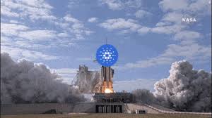 With the launch of staking in july 2020, there are ~13.8 billion ada reserved as stake incentives for participants. Low Price Doesn T Mean It Can Reach 1000 Cryptocurrency