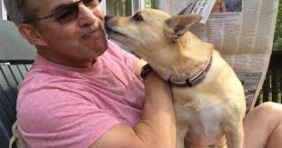 Reader photo pick of the week: Dogs