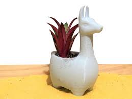 Ceramic buddha planter, face planter, gamla baby planter, animal planter. Cute Llama Planter 24 Colors 3d Printed Animal Planter Succulent Planter Pot Flower Pot For Succulents Succulent Planters
