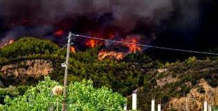 Check spelling or type a new query. Spsriefjws0lfm