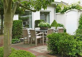 Alle Infos Zum Thema Sichtschutz Gibt Es Hier Bei Obi