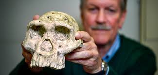 Discovery: Three UTA Chemists Among World's Top 100 Scientists, UNT Prof  Helps with Fossil Identification Breakthrough » Dallas Innovates