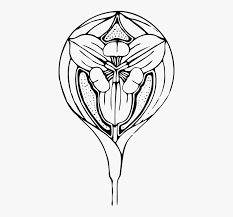Maybe you would like to learn more about one of these? Tulip Flower Art Deco Art Nouveau Flora Illustration Flower Border Art Nouveau Flowers Hd Png Download Transparent Png Image Pngitem