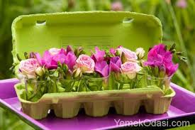 Karpuz kabuğundan saksı nasıl yapılır? Yumurta Kutularindan Geri Donusum Projeleri Yemek Odasi