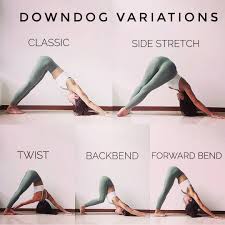 Yoga Fundamentals On Instagram Try These Fun Downdog Variations In Your Next Practice You Will Feel A Different Stretch Wi Yoga Backbend Dog Yoga Basic Yoga