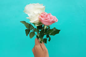 Lagu gadis dan bunga nyanyian rahimah rahim telah dirakamkan dan dikeluarkan oleh josal music pada tahun 1982. Lirik Lagu Nasib Bunga Ciptaan Roma Irama Yang Dinyanyikan Noer Halimah Ringtimes Bali