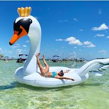 Our glass bottomed boats directly faces the 25 foot viewing area allowing you to see underwater from the comfort of your seat. Crab Island Destin Florida Everything You Need To Know