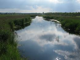 Bird Watching At Federsee Fatima Saysell