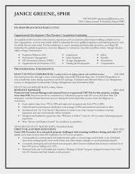 Create a professional resume for free. Resume Objective Examples For Leadership Resume Resume Sample 13823