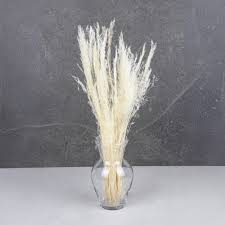 Image result for Agrostis products