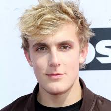 YouTuber Jake Paul's Calabasas home searched by FBI agents with firearms  seized