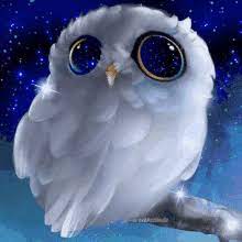 Keep turning the owl on the table and looking at all sides to make sure it's nice and round, because owl is. White Owl Gifs Tenor