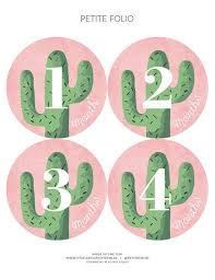 cactus baby sticker baby stickers cactus milestone stickers monthly baby sticker cactus baby sho baby stickers milestone stickers baby month stickers