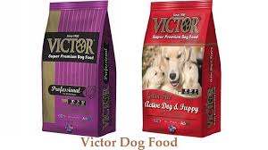 The result is a highly digestible food that will require less food intake to meet energy demands and yield minimal stool volume. Victor Dog Food Super Premium Ingredients Reviews Recall
