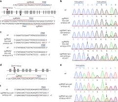 Generating Viable Mice With Heritable Embryonically Lethal