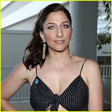 She comes from a mixed ethnic background. Chelsea Peretti Will Not Be In Brooklyn Nine Nine Season 7 Brooklyn Nine Nine Chelsea Peretti Television Just Jared