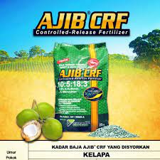 Cara meningkatkan hasil tanaman kelapa sawit these pictures of this page are about:baja pokok kelapa sawit. Baja Kelapa 25kg Coconut Fertilizer Shopee Malaysia