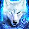 Black wolf night art picture 1242×2688 iphone 11 pro xs max. 1