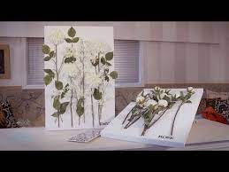 Browse our selection of flower nursery art prints and find the perfect design for you—created by our community of independent artists. Arts Crafts Tutorial Mounting Flowers On A Canvas Flower Canvas Art Flower Canvas Wall Art Wall Painting Flowers
