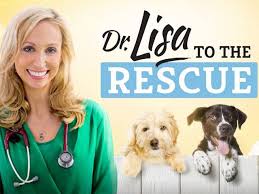 It follows the lives of veterinary surgeon chris brown at the bondi junction veterinary hospital (near bondi beach), and emergency veterinarian lisa chimes at the small animal specialist hospital (sash), in the sydney suburb of north ryde. Dr Lisa To The Rescue Interview Girl Com Au