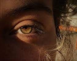 Shared By Noee Eluise Find Images And Videos On We Heart It The App To Get Lost In What You Love Eye Photography Brown Eyes Aesthetic Aesthetic Eyes