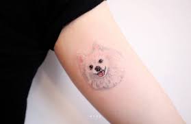 15 Best Tattoo Ideas For Pomeranian Lovers The Paws Tattoos Cool Tattoos Pomeranian