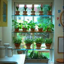 indoor herb garden